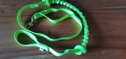 Jöring Leine 2Hund Gurtband